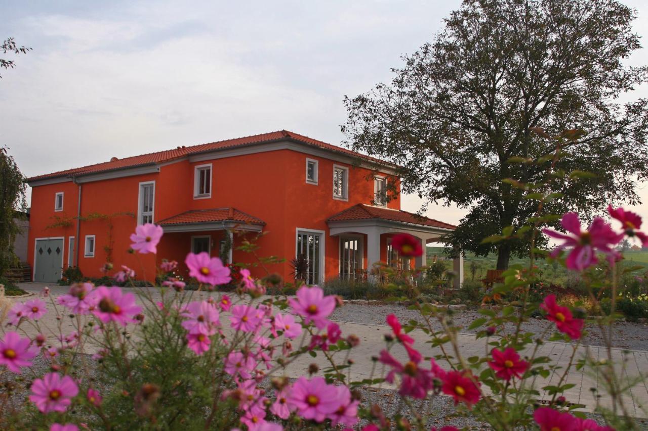 Hotel Weinhof Am Nussbaum Willanzheim Exterior foto